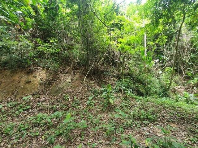 Terreno venda em Comunidade da Ciclovia, Niterói