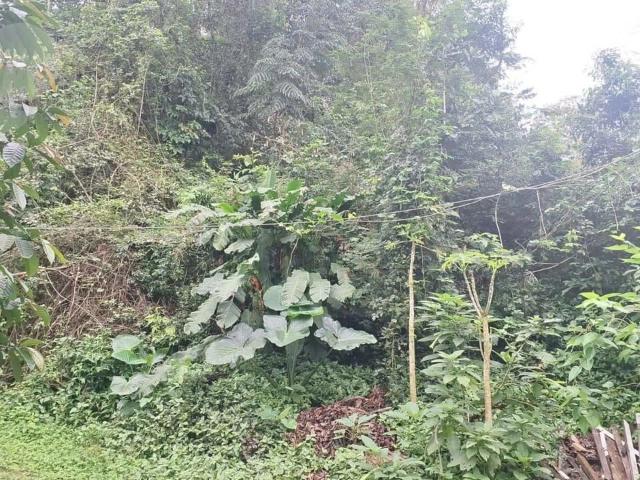 Terreno venda em Região Norte, Niterói