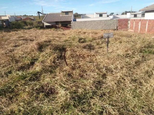 Terreno venda em Região Geográfica Imediata de Manaus, Itamarati
