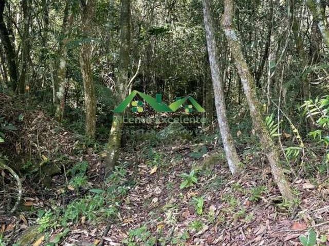 Terreno venda em Região Geográfica Imediata de Nova Friburgo, Nova Friburgo