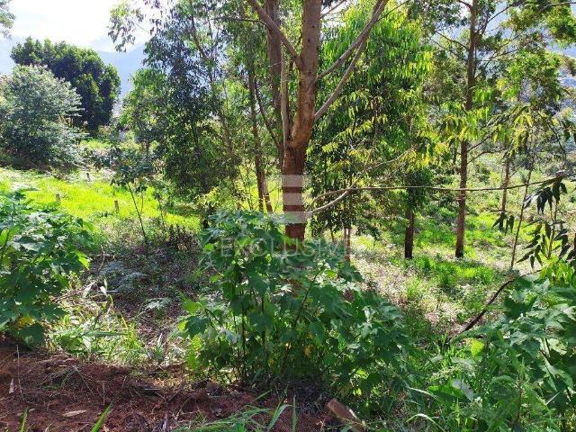 Terreno venda em Região Geográfica Imediata de Nova Friburgo, Nova Friburgo