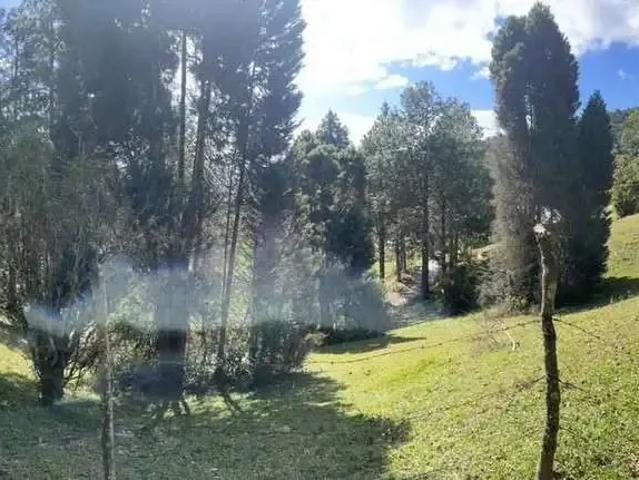 Terreno venda em Região Geográfica Imediata de Nova Friburgo, Nova Friburgo