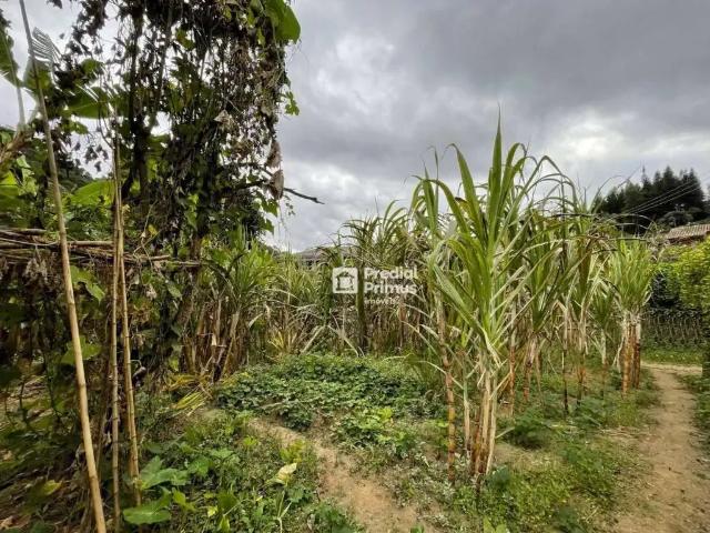 Terreno venda em Região Geográfica Imediata de Nova Friburgo, Nova Friburgo