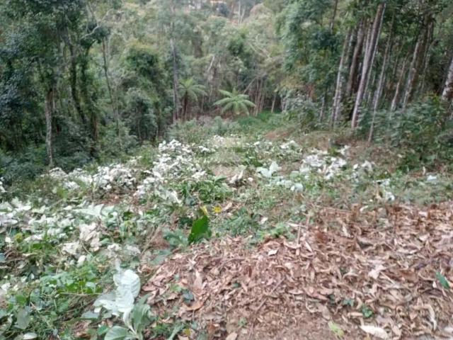Terreno venda em Região Geográfica Imediata de Nova Friburgo, Nova Friburgo