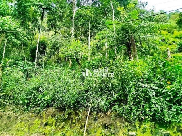 Terreno venda em Região Geográfica Imediata de Nova Friburgo, Nova Friburgo