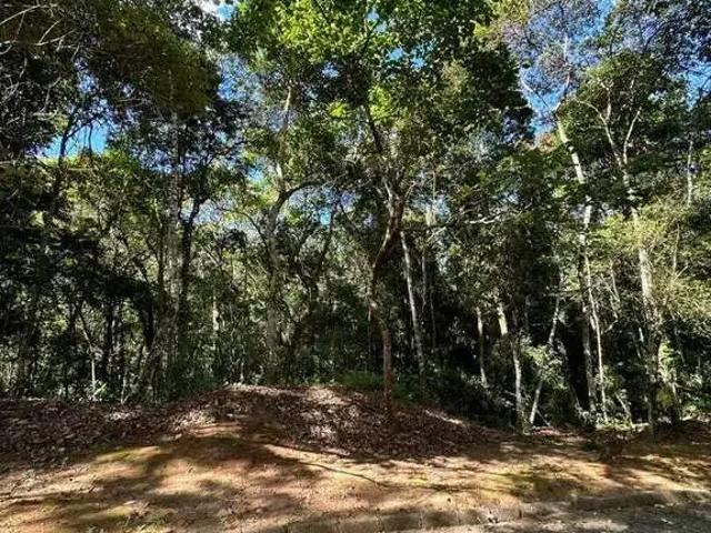 Terreno venda em Região Geográfica Imediata de Nova Friburgo, Nova Friburgo