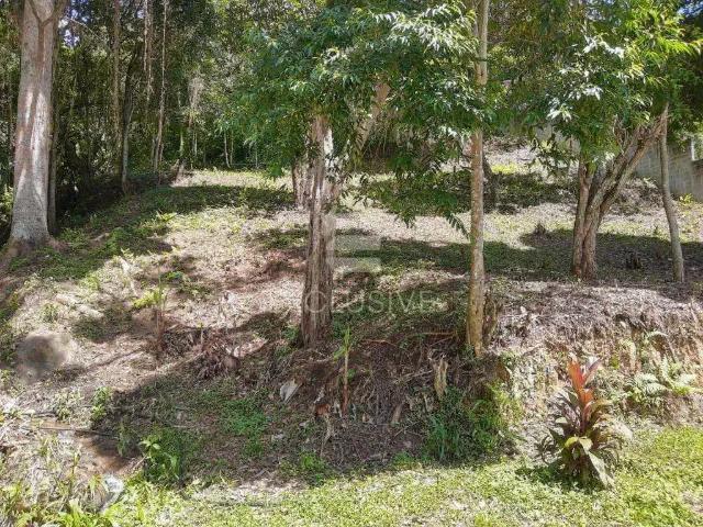 Terreno venda em Região Geográfica Imediata de Nova Friburgo, Nova Friburgo