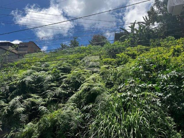 Terreno venda em Região Geográfica Imediata de Nova Friburgo, Nova Friburgo