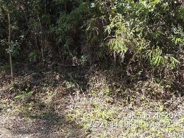 Terreno venda em Região Geográfica Imediata de Nova Friburgo, Nova Friburgo