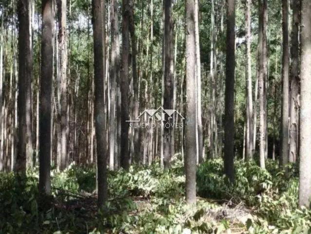 Terreno venda em Região Geográfica Imediata de Nova Friburgo, Nova Friburgo