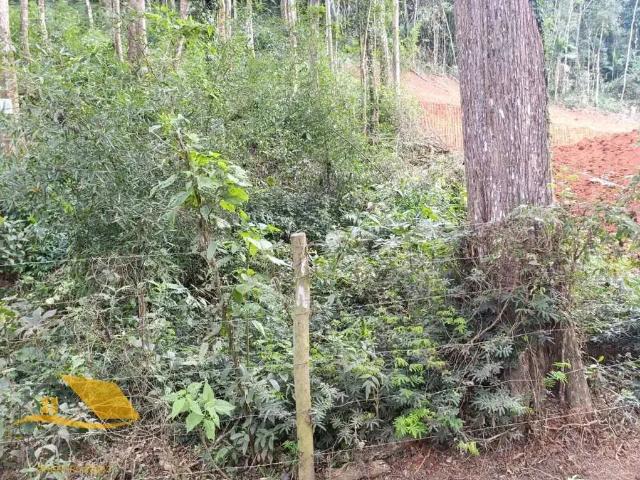 Terreno venda em Nova Friburgo