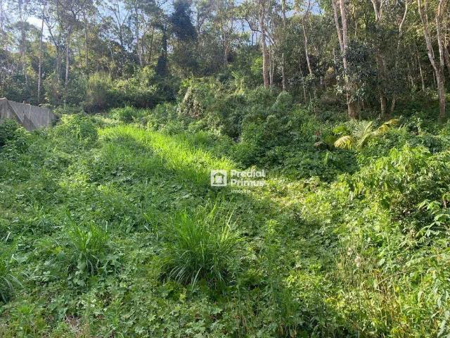 Terreno venda em Região Geográfica Imediata de Nova Friburgo, Nova Friburgo