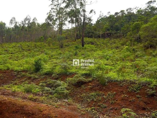 Terreno venda em Região Geográfica Imediata de Nova Friburgo, Nova Friburgo