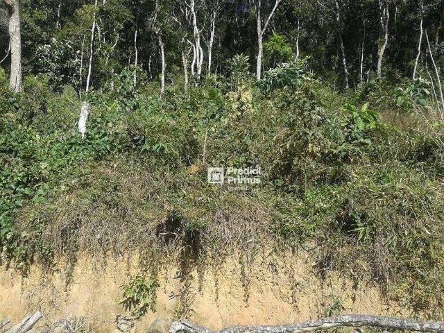 Terreno venda em Região Geográfica Imediata de Nova Friburgo, Nova Friburgo
