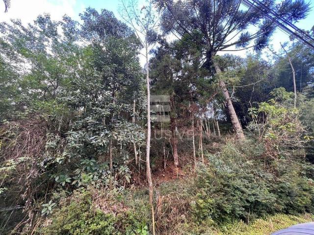 Terreno venda em Região Geográfica Imediata de Nova Friburgo, Nova Friburgo