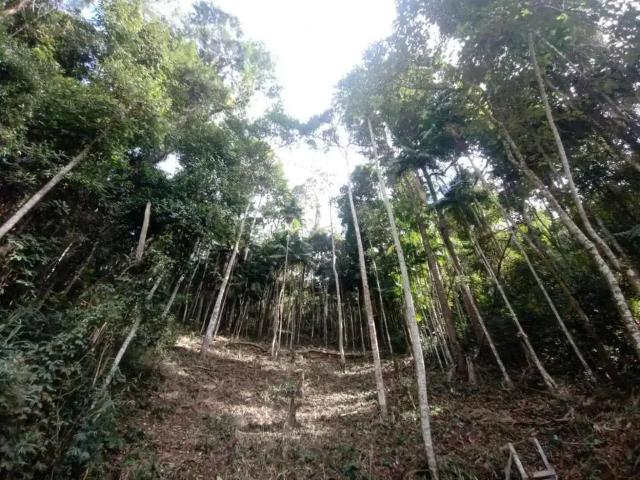 Terreno venda em Região Geográfica Imediata de Nova Friburgo, Nova Friburgo