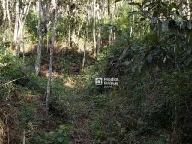 Terreno venda em Região Geográfica Imediata de Nova Friburgo, Nova Friburgo