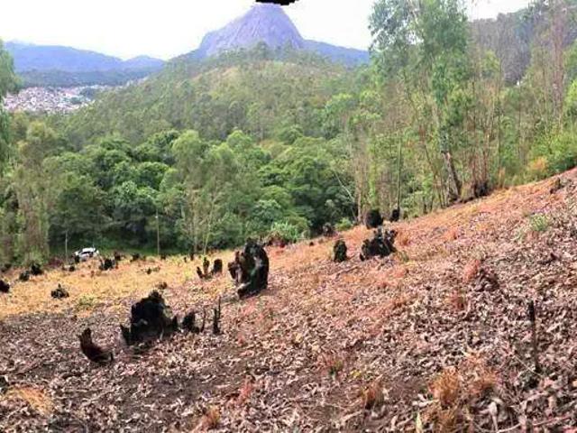 Terreno venda em Região Geográfica Imediata de Nova Friburgo, Nova Friburgo
