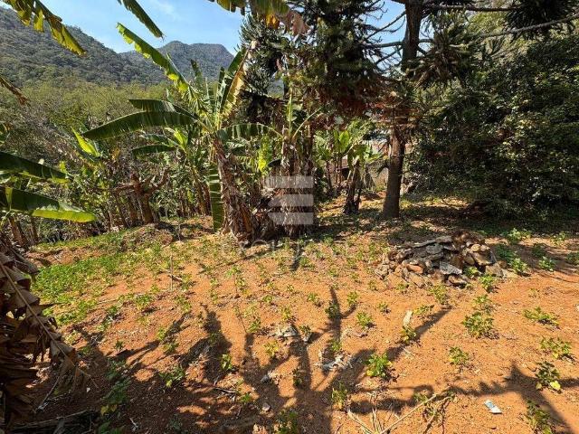 Terreno venda em Região Geográfica Imediata de Nova Friburgo, Nova Friburgo