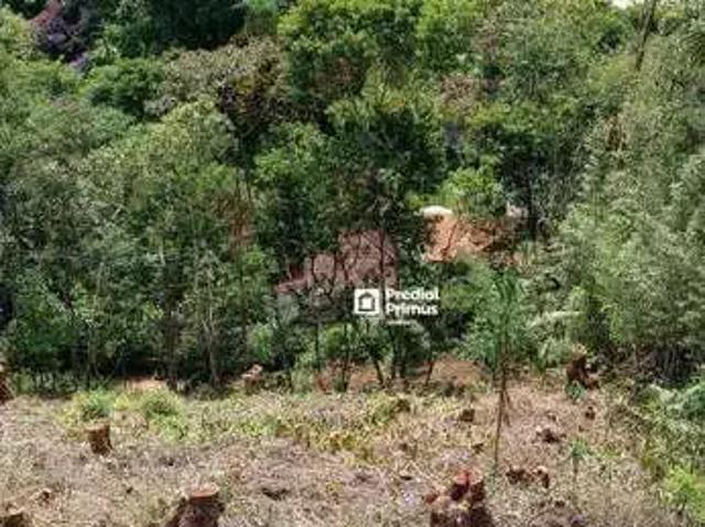 Terreno venda em Região Geográfica Imediata de Nova Friburgo, Nova Friburgo