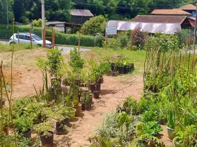 Terreno venda em Região Geográfica Imediata de Nova Friburgo, Nova Friburgo