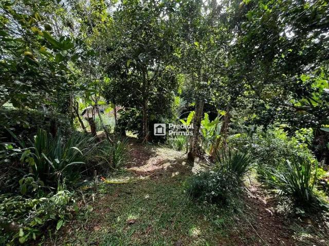 Terreno venda em Região Geográfica Imediata de Nova Friburgo, Nova Friburgo
