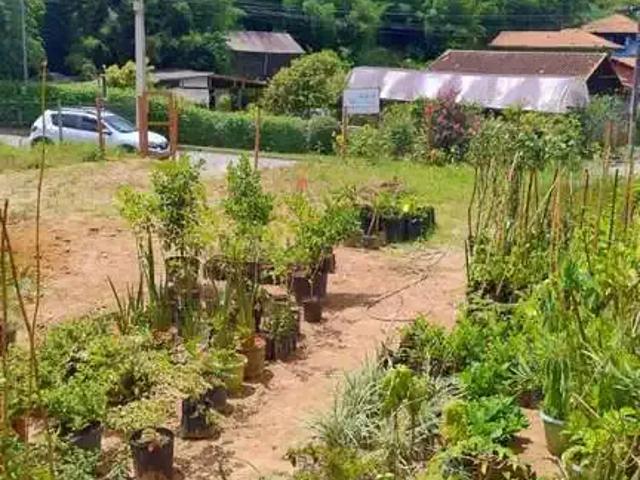 Terreno venda em Região Geográfica Imediata de Nova Friburgo, Nova Friburgo