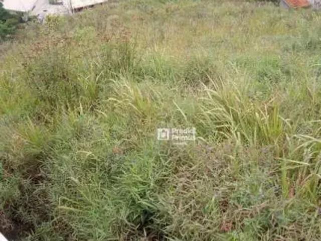 Terreno venda em Região Geográfica Imediata de Nova Friburgo, Nova Friburgo