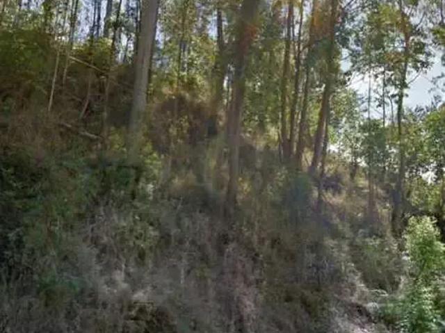 Terreno venda em Região Geográfica Imediata de Nova Friburgo, Nova Friburgo