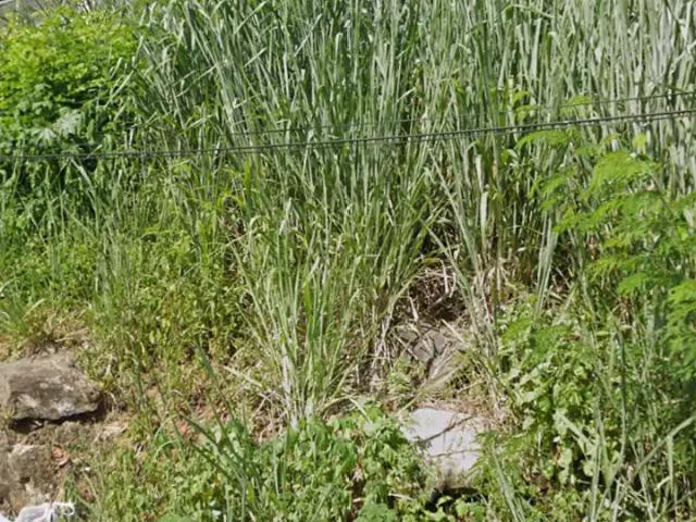 Terreno venda em Centro, Nova Iguaçu