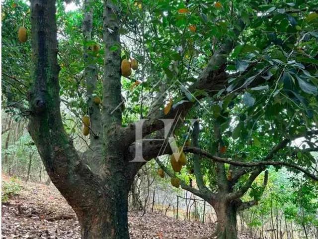 Terreno venda em Região Geográfica Imediata do Rio de Janeiro, Região Metropolitana do Rio de Janeiro