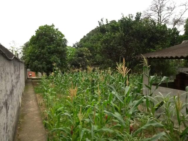 Terreno venda em Região Geográfica Imediata do Rio de Janeiro, Região Metropolitana do Rio de Janeiro