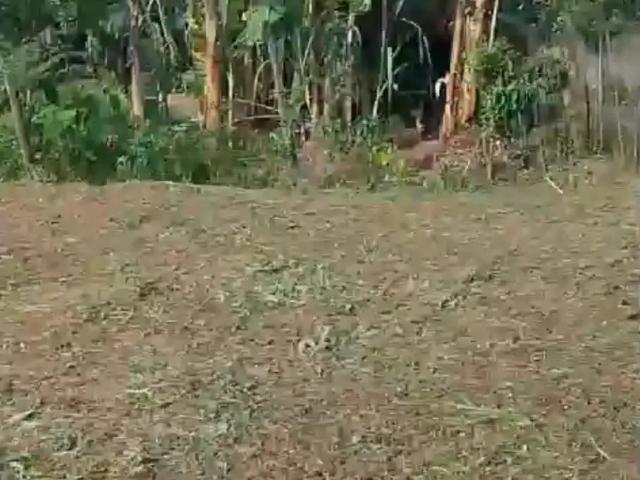 Terreno venda em Região Geográfica Imediata do Rio de Janeiro, Região Metropolitana do Rio de Janeiro