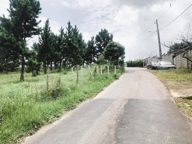Terreno venda em Ouro Velho Mansões, Nova Lima