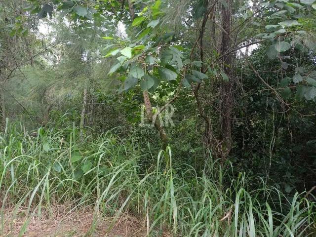 Terreno venda em Região Geográfica Imediata de Belo Horizonte, Região Metropolitana de Belo Horizonte