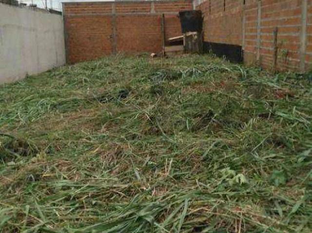 Terreno venda em Nova Odessa