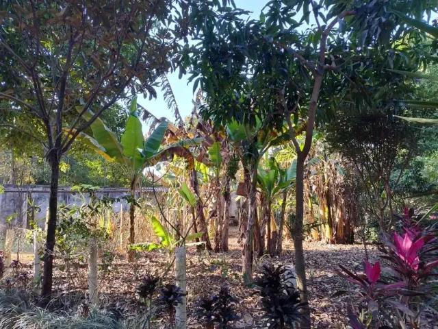 Terreno venda em Região Imediata de Campinas, Região Metropolitana de Campinas