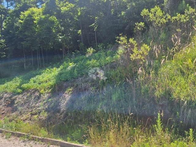 Terreno venda em Região Geográfica Imediata de Caxias do Sul, Nova Petrópolis