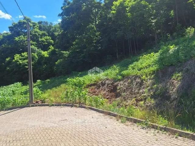 Terreno venda em Nova Petrópolis