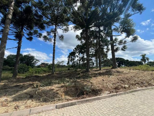 Terreno venda em Região Geográfica Imediata de Caxias do Sul, Nova Petrópolis