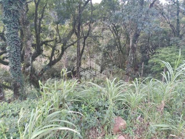 Terreno venda em Região Geográfica Imediata de Caxias do Sul, Nova Petrópolis