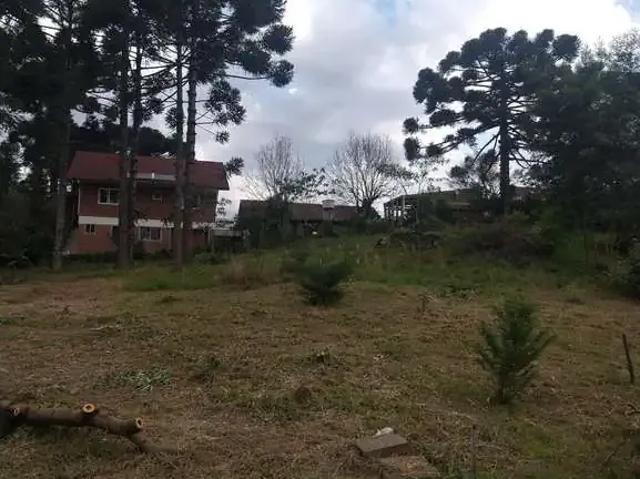 Terreno venda em Região Geográfica Imediata de Caxias do Sul, Nova Petrópolis
