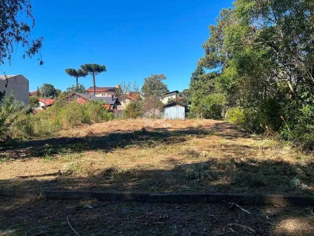 Terreno venda em Nova Petrópolis