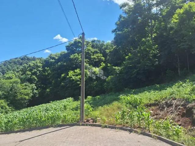 Terreno venda em Região Geográfica Imediata de Caxias do Sul, Nova Petrópolis
