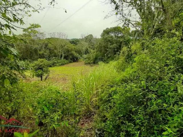 Terreno venda em Região Geográfica Imediata de Caxias do Sul, Nova Petrópolis