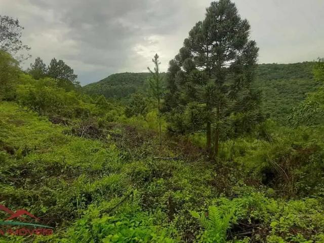 Terreno venda em Região Geográfica Imediata de Caxias do Sul, Nova Petrópolis