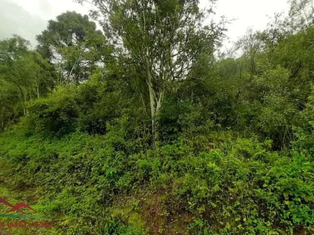 Terreno venda em Região Geográfica Imediata de Caxias do Sul, Nova Petrópolis
