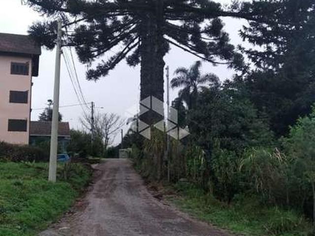 Terreno venda em Região Geográfica Imediata de Caxias do Sul, Nova Petrópolis