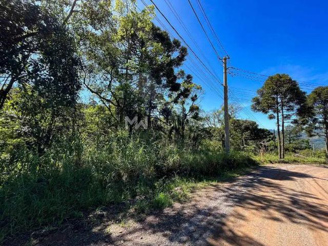 Terreno venda em Região Geográfica Imediata de Caxias do Sul, Nova Petrópolis