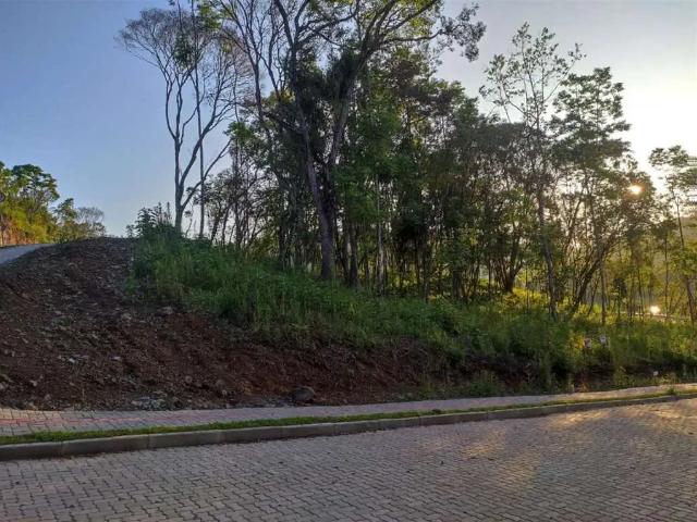 Terreno venda em Região Geográfica Imediata de Caxias do Sul, Nova Petrópolis